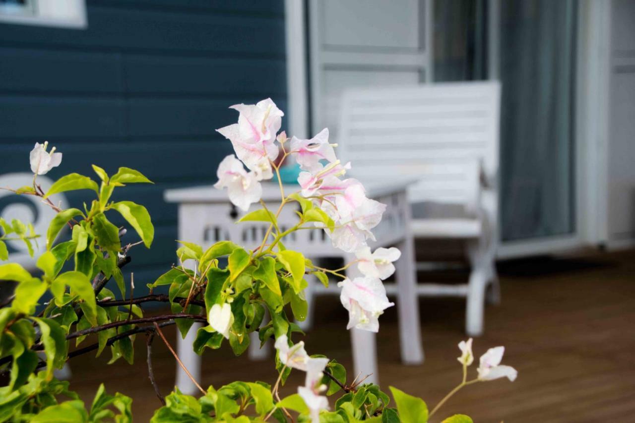 Chez Les Filles - Bungalodge Petite Île Extérieur photo